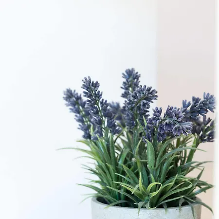 阿尔卡公寓 察夫塔特